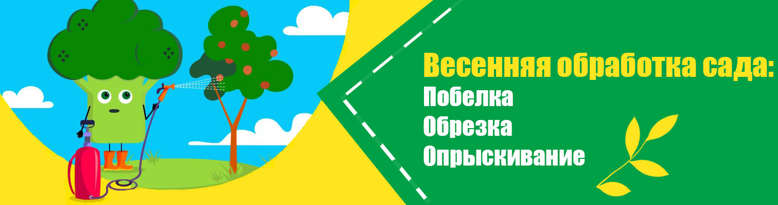 Обработка сада весной