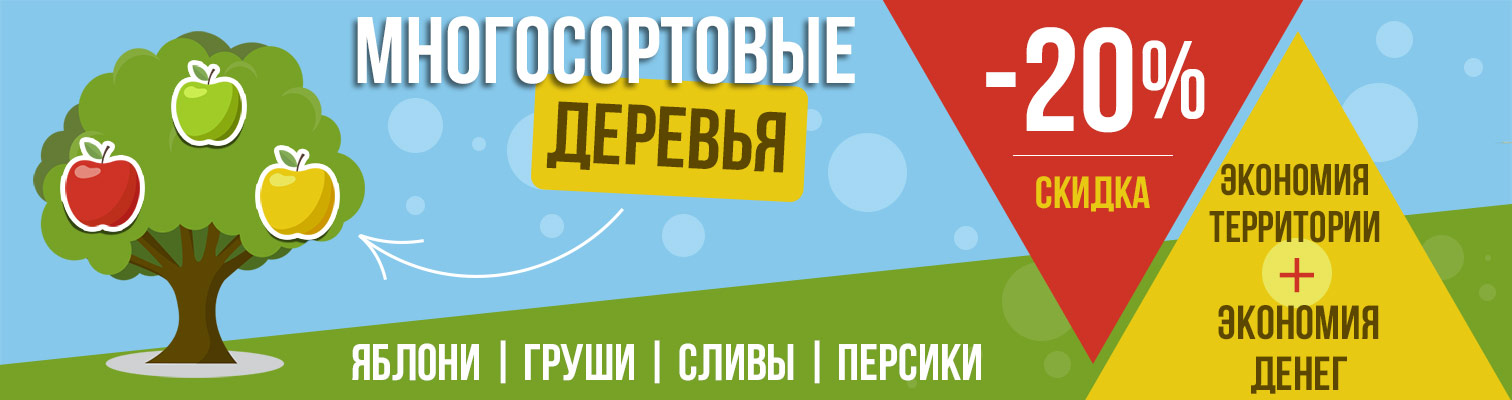 Экслюзивные многосортовые деревья со скидкой -20%! Поторопитесь, количество ограничено!