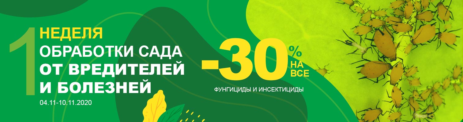 ������ �� ��� ��������� � ����������� -30%