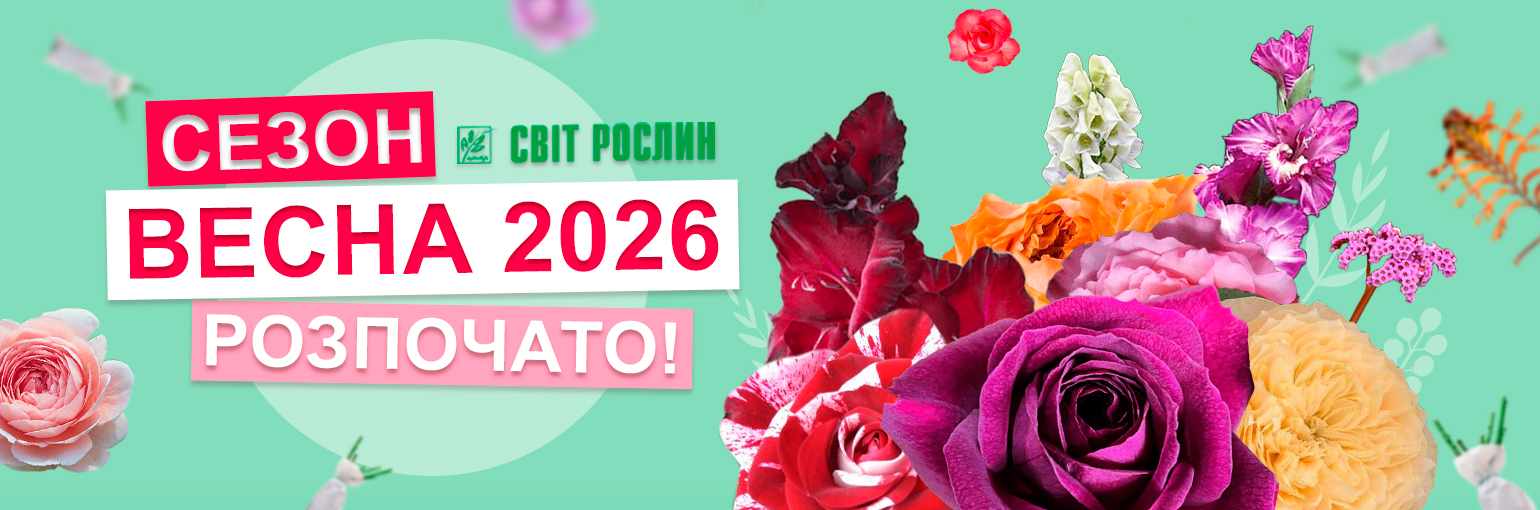 ����������� ����� ����� 2026!