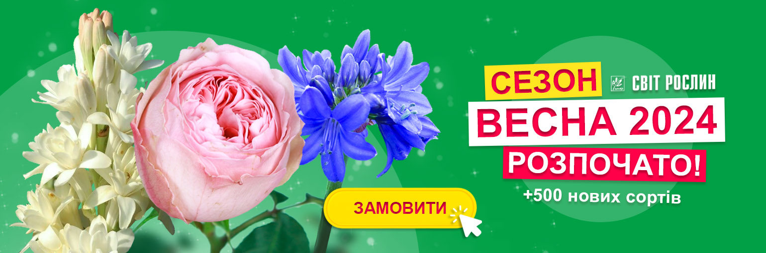 ����� ������ ����� 2024!