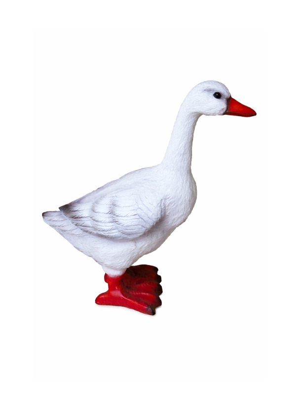 ������� ������ ���� ������� 40 ��