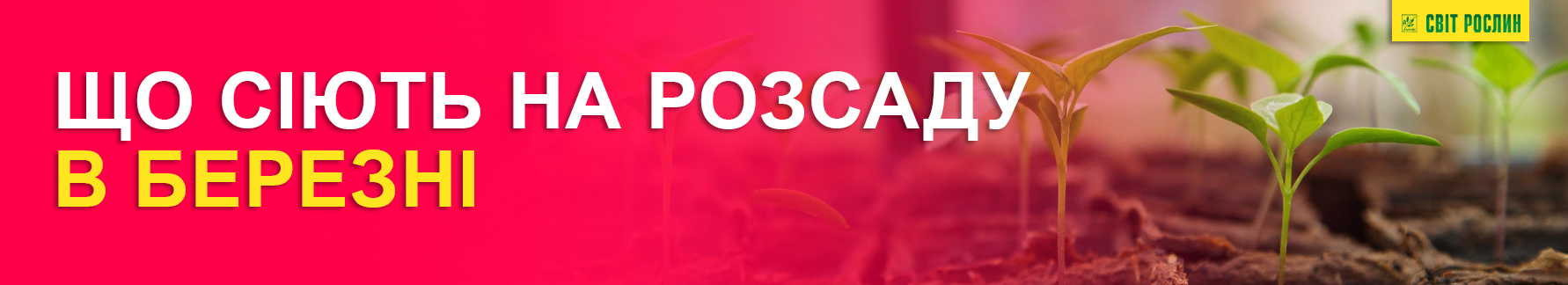 Что сеют на рассаду в марте Что посадить в марте