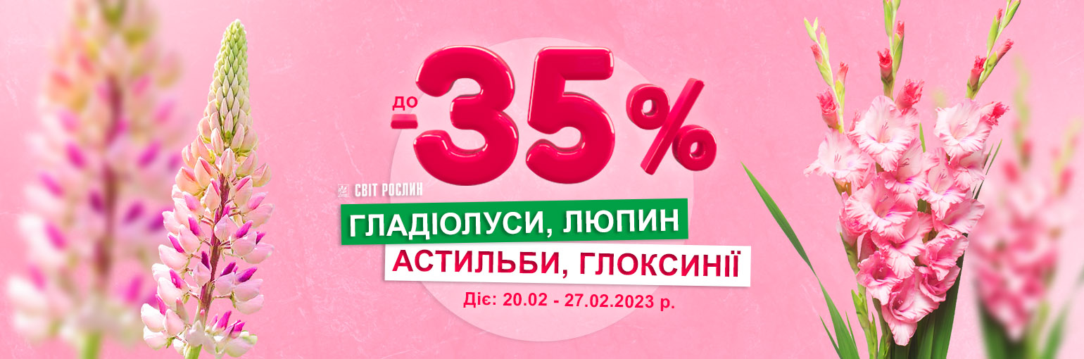 ����� ! �� -35% �� ������� �����������, �����, �������� � ���������
