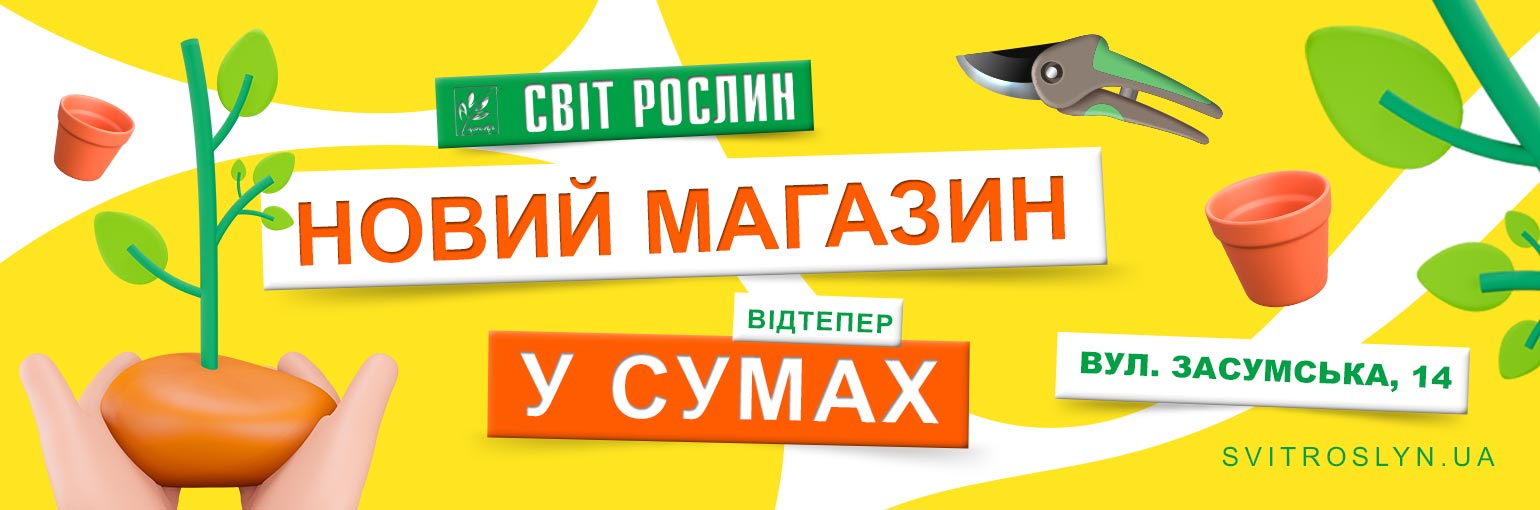 ³������� ����� ������� ���� ������� � ��� ���� �� ������ ��������� 14