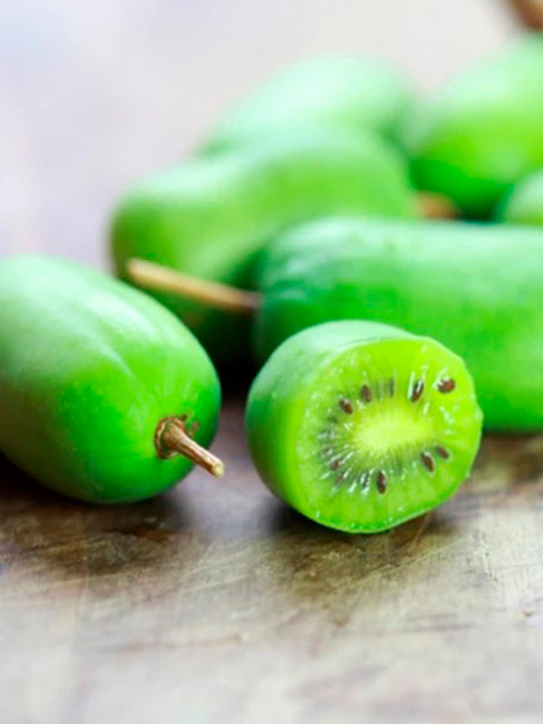 ��������� ������������� (�������)