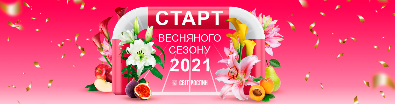 Предзаказ на весенний сезон 2021 объявляем открытым!