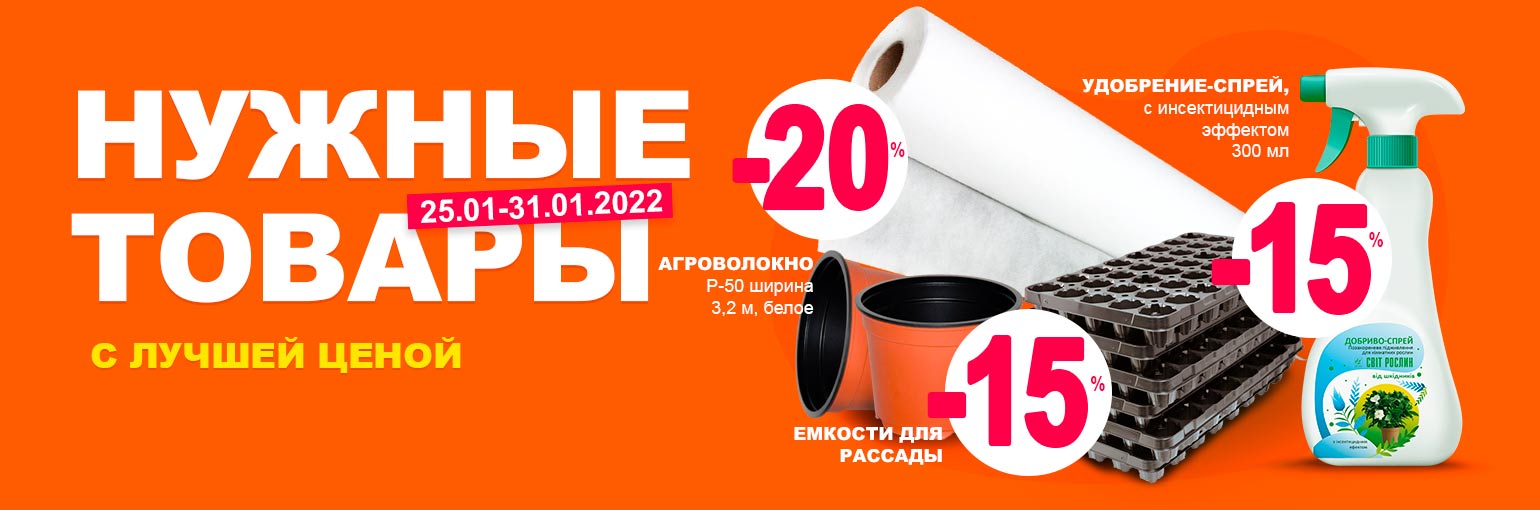 ������ ������ ������