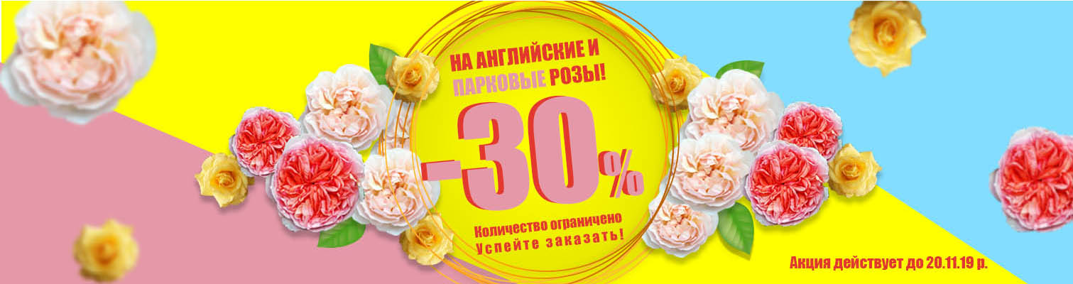 ! -30%      