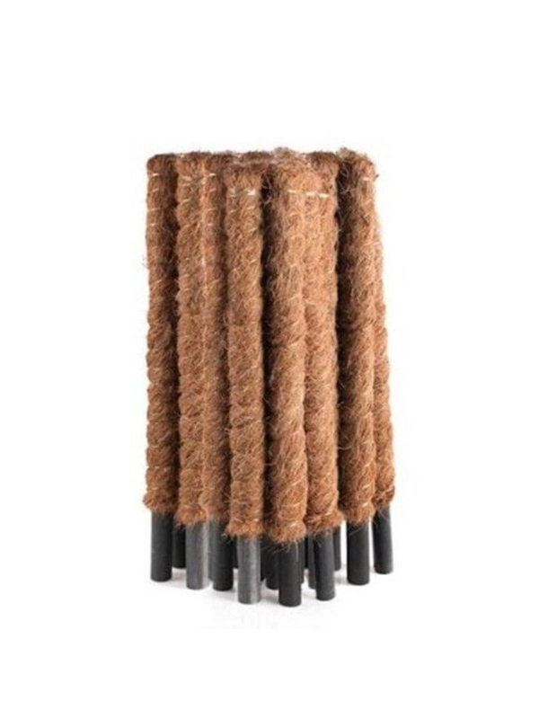 ����� ��� ������ �������� 80 ��