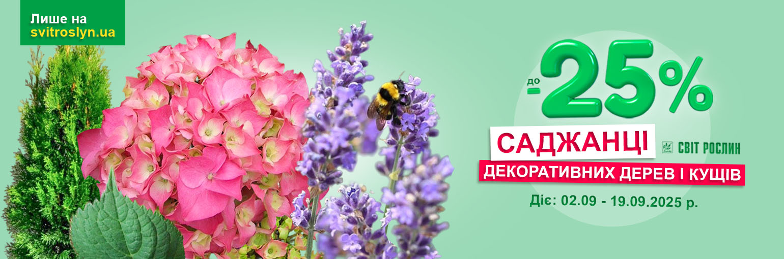 ������� ������ �� -25% �� ������� ������������ �������� � ������