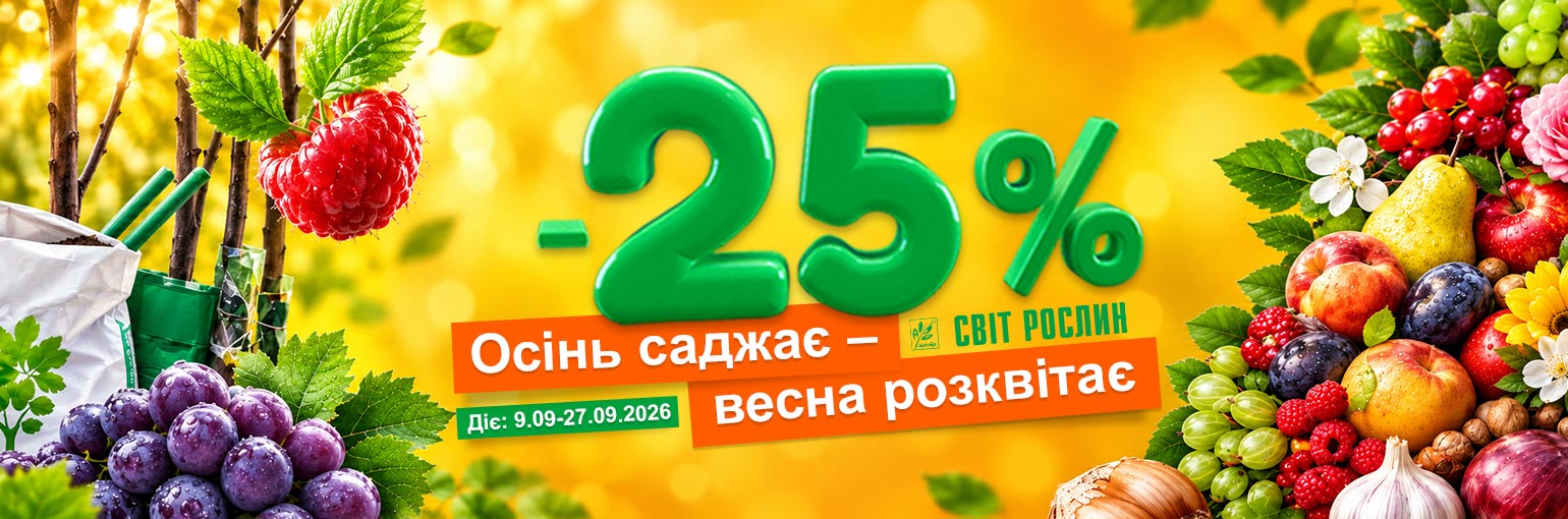 ����� ������ � ����� ����������! ������ �� −25% 🌿