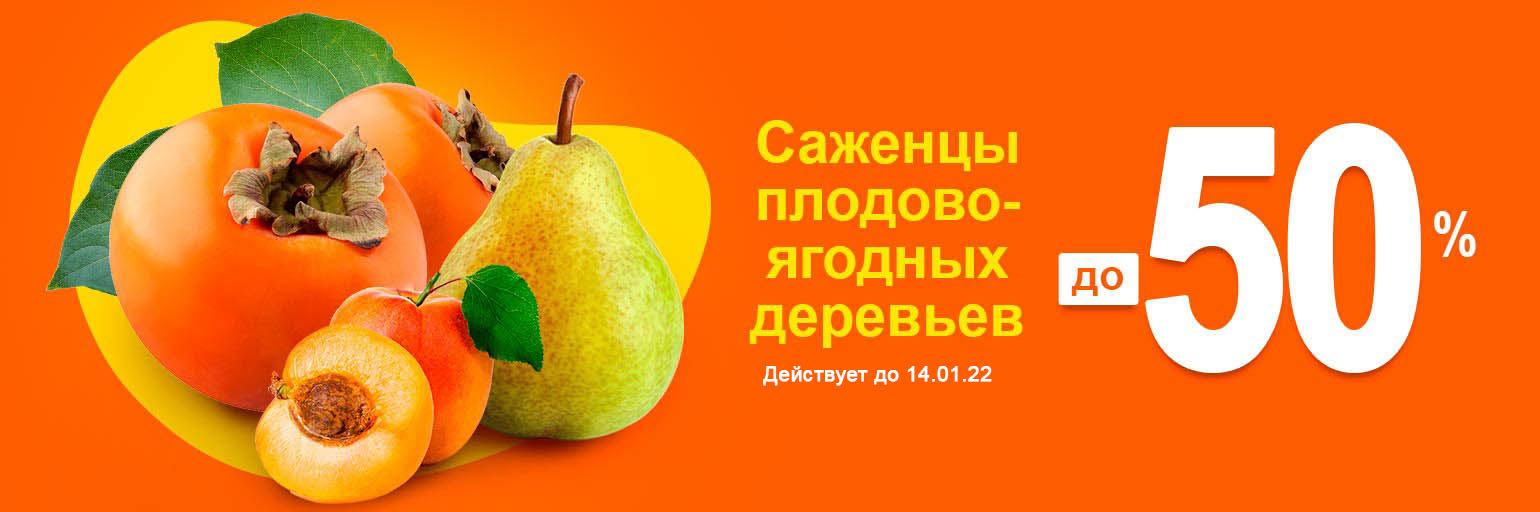 Скидка на плодовые деревья до -50% Скидка на плодовые деревья до -50%