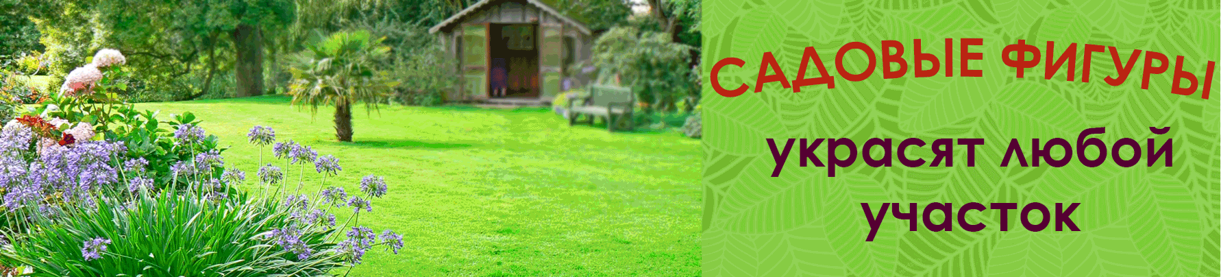 ������� ������ ������� ����� �������!