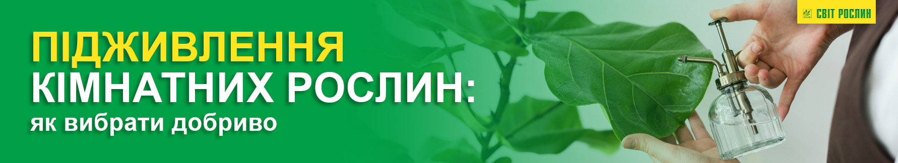 Подкормка комнатных растений: как выбрать удобрение