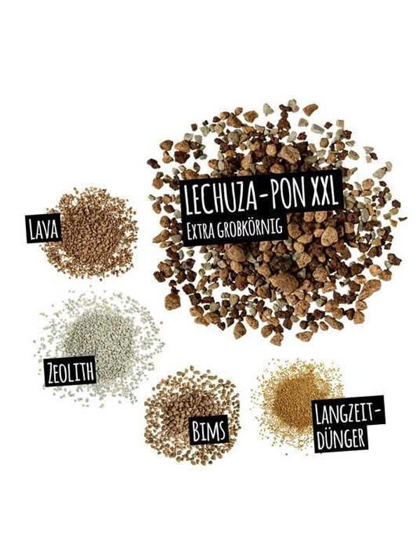  Lechuza PON XXL 25 