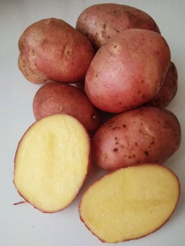  Семенной картофель Эволюшн ранний 1 кг
