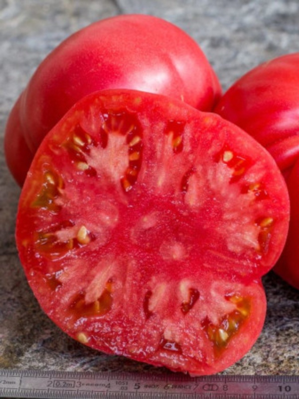 ������ ����� ��������� ������� 10 ��� ��