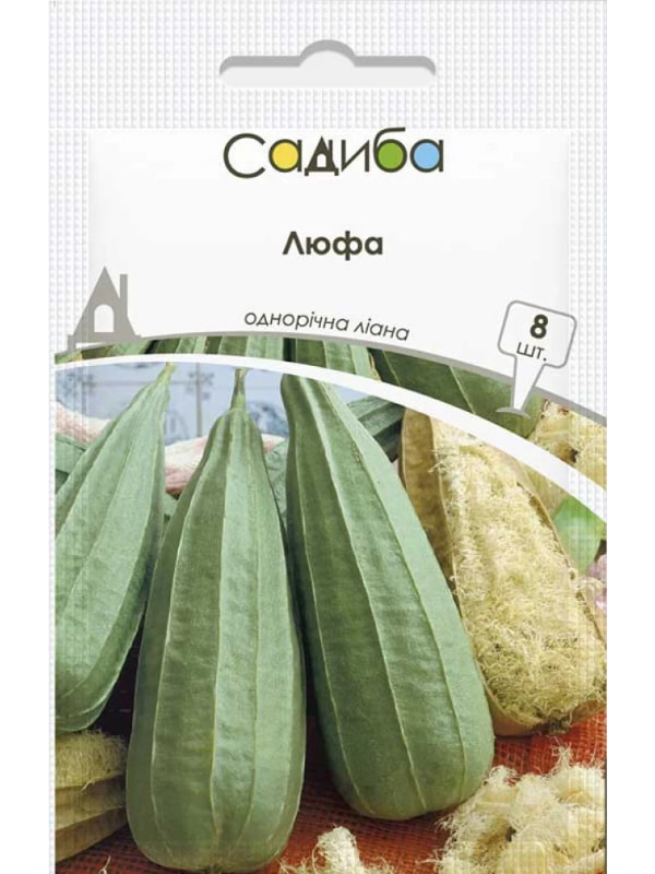 ������ ���� 8 ��� ������