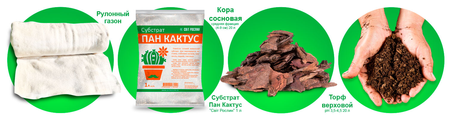 ������������ ���� �������!