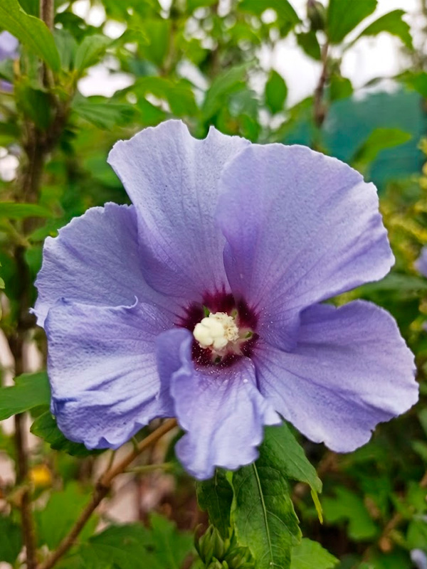 ó����� ��������� �3