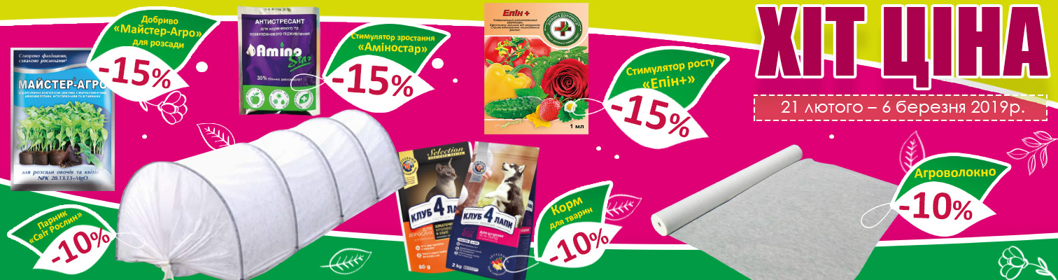 ������� � ճ�-�����: ������ �� -15% �� ������ ������