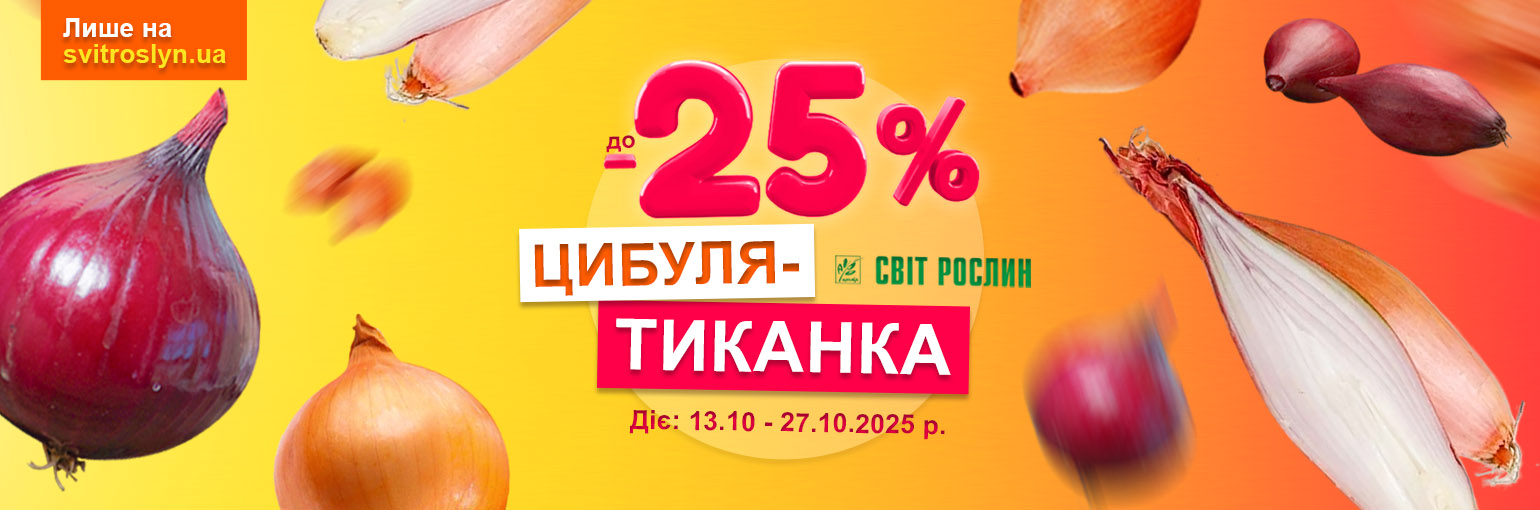   -25%  -
