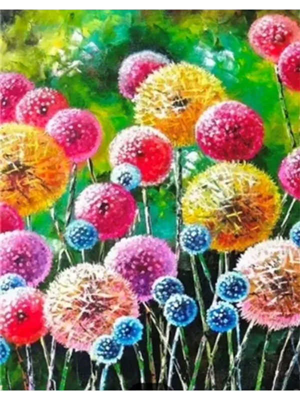     40*50 