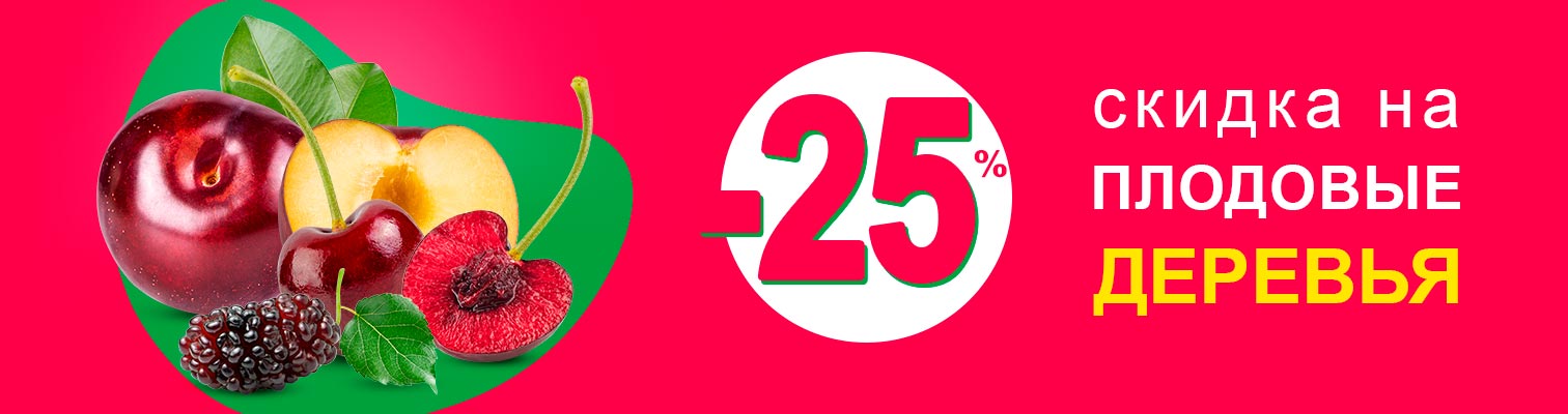 ������� �� ������� -25% �� ������� �������� ��������