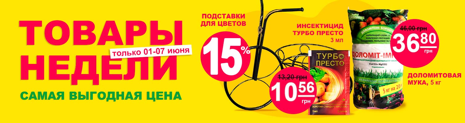 ������ ������ ������!