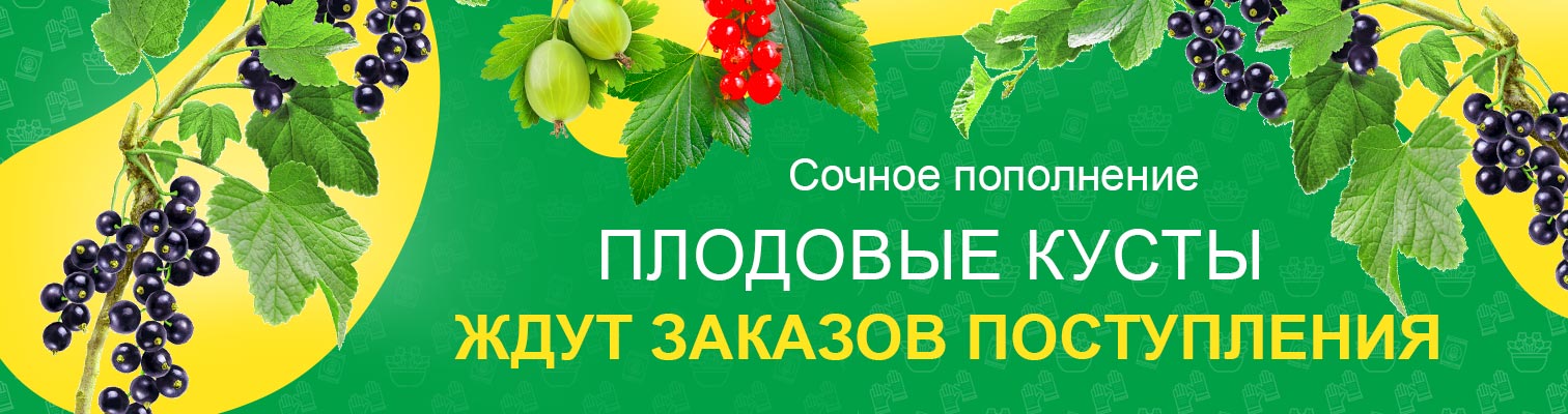 ������ ���������� - ����������� ������� �������� ������!