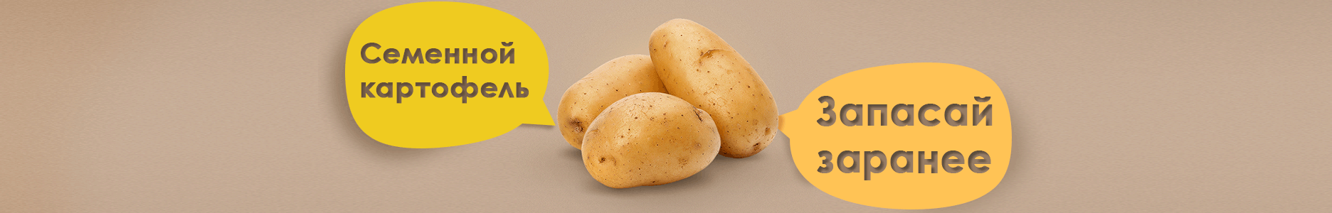 Запасаемся семенным картофелем заранее! Запасаемся семенным картофелем заранее!