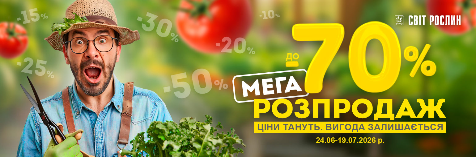 ���� ����������� �� -70%