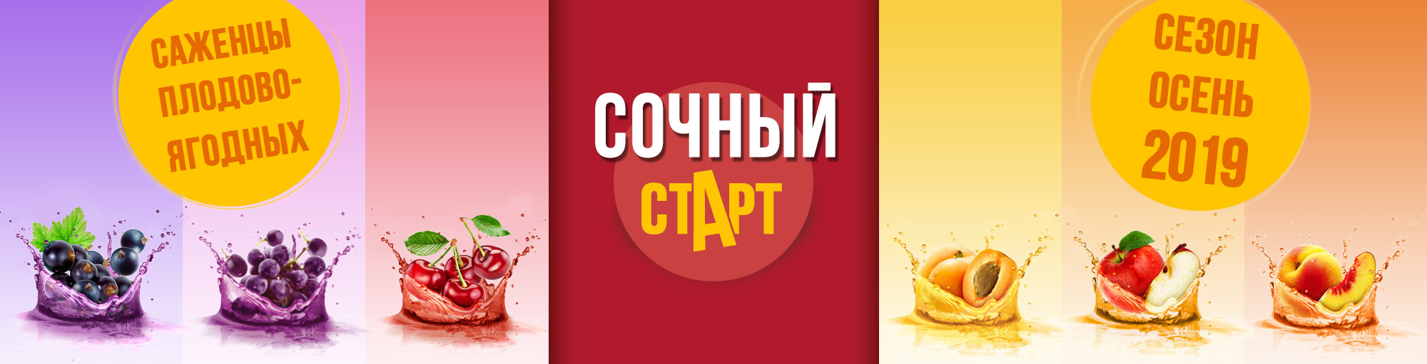 ����� ������� ������ �������-������� ������� - ������� ��� ������ ���������� ��������