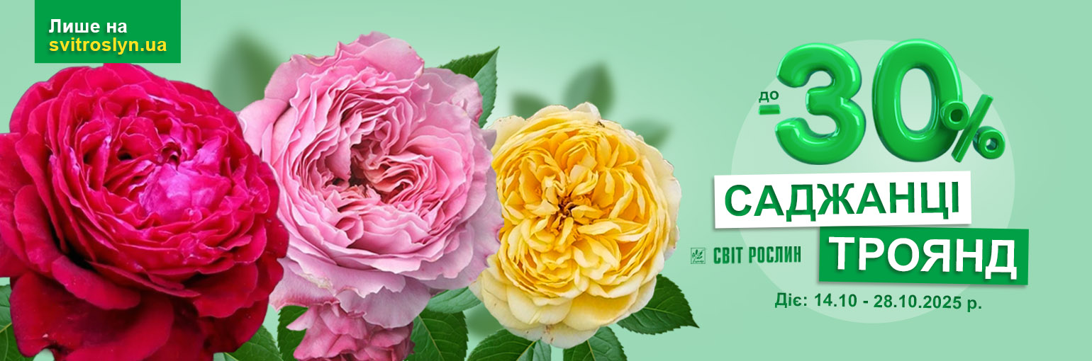 ���������� ������� ����� �� ������� �� -30%