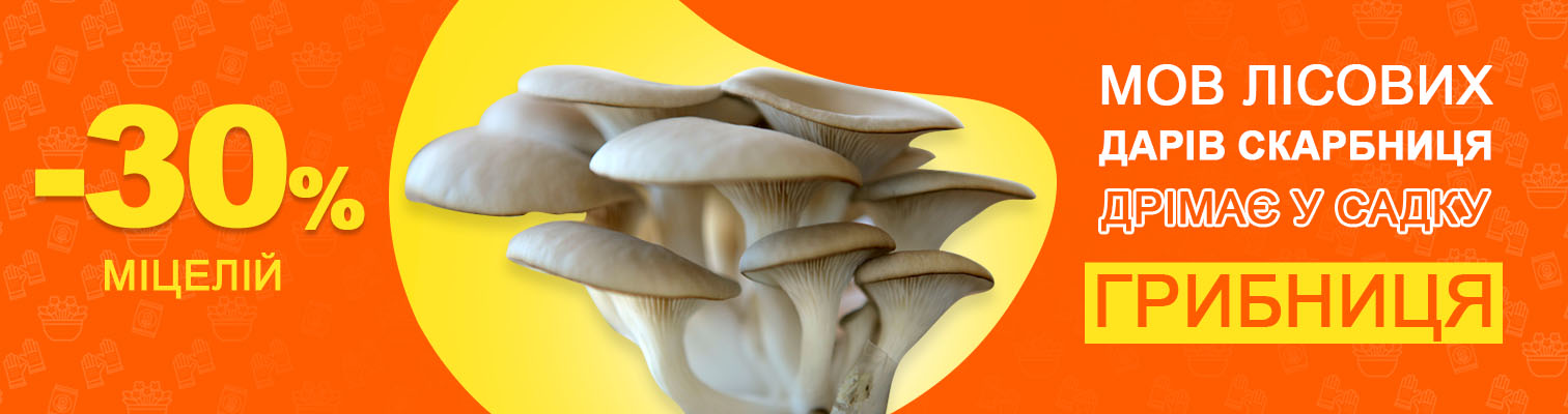Скидка -30% на мицелий грибов