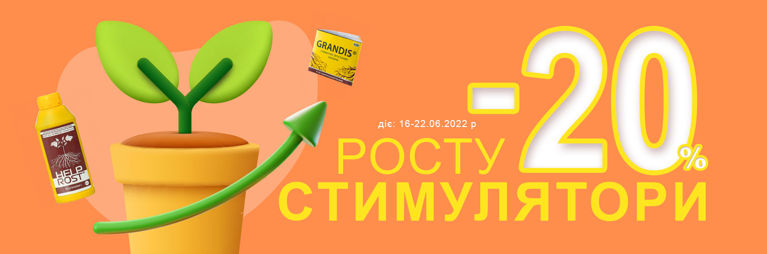 -20% �� ����������� ����� ��������