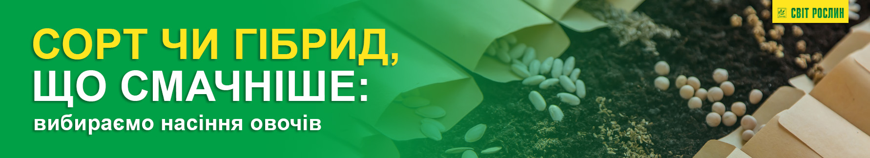 Сорт или гибрид, что вкуснее: выбираем семена овощей Сорт или гибрид, что вкуснее: выбираем семена овощей