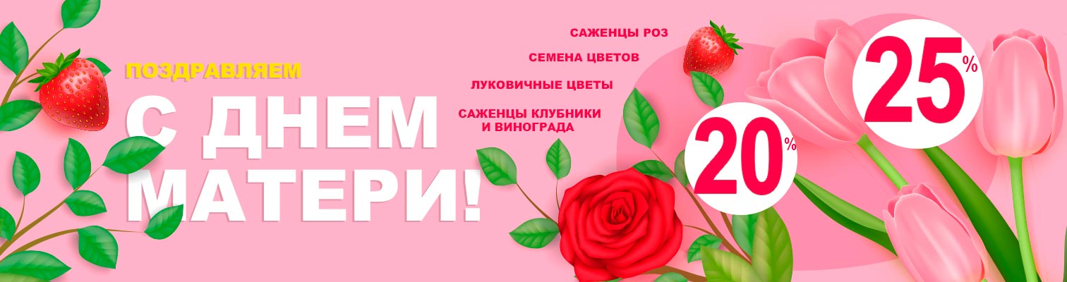 ����������� � ���� ������! ����� ������