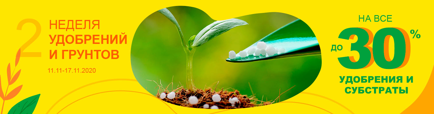 ������ �� ��������� � ������!