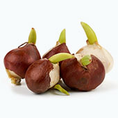 ���������� � ������