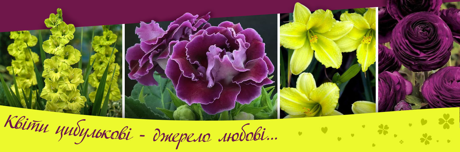 ���� ��������� � ������� �����!