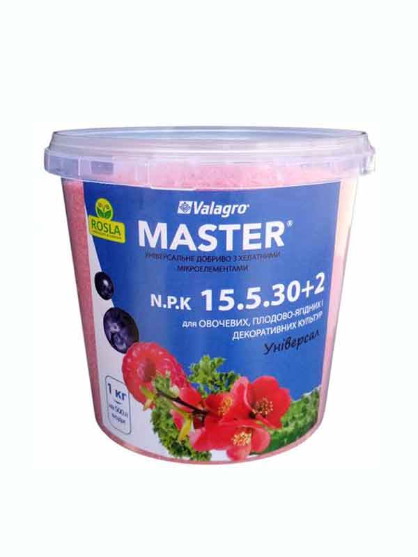  Master NPK 15.5.30+2Mg 1 