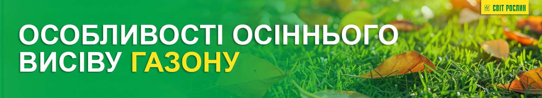 Особенности осеннего посева газона Особенности осеннего посева газона