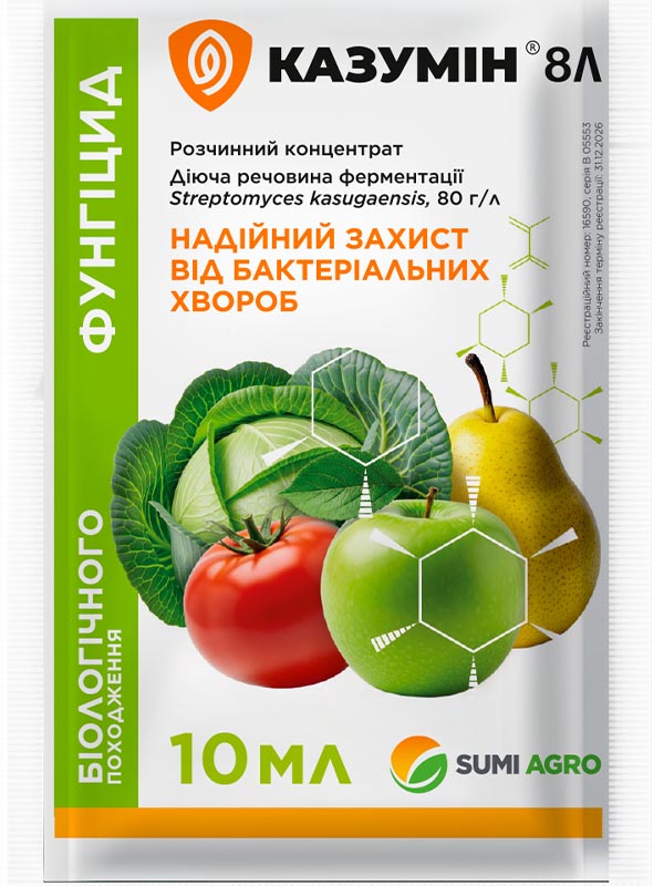 ���������� ������ 8� �� 10 ��