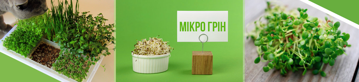 ̳������: �������� ����� �� ������������� ������