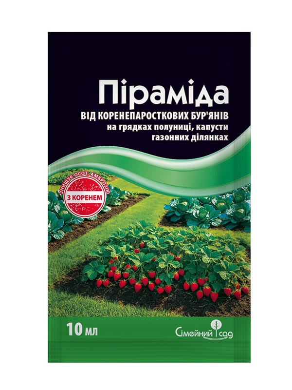 ������� ϳ����� 10 ��