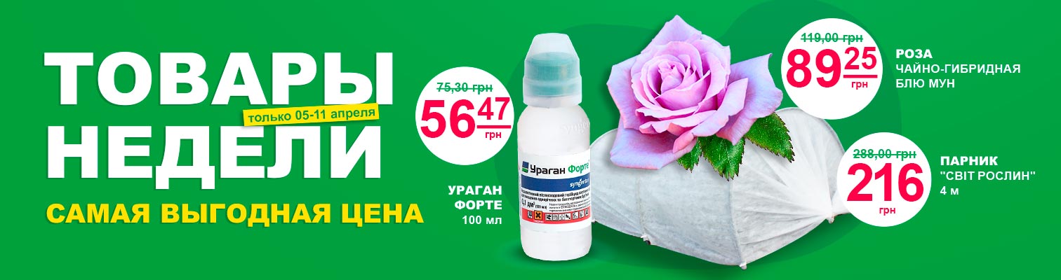 Товары недели. Самая выгодная цена! Товары недели. Самая выгодная цена!