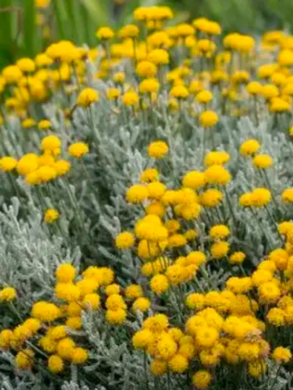 ����������1