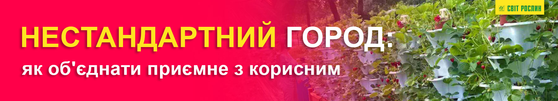 Нестандартный огород: как объединить приятное с полезным Оформление грядок на огороде